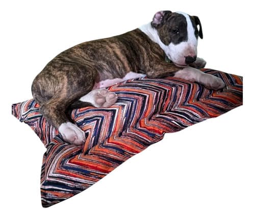 Cama Cucha Mediana Para Gatos Y Perros 65 X 45 De Todo